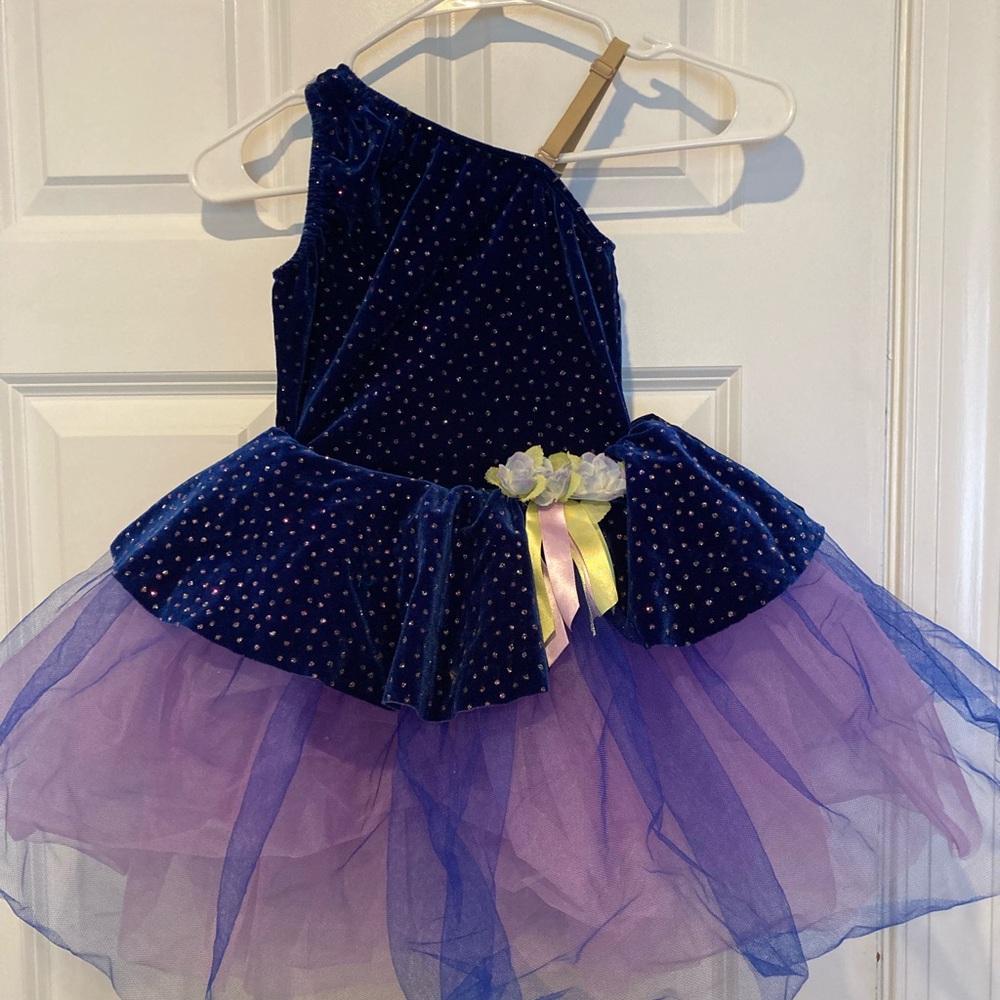 Sparkling Blue and Purple Kids Ballerina Dance/Halloween Costume